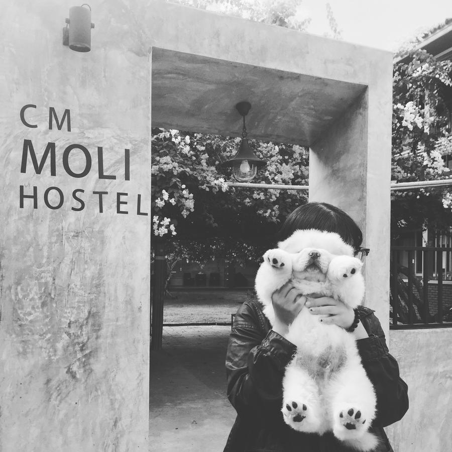 Chiangmai Moli Inn (Adults Only) Chiang Mai Zewnętrze zdjęcie