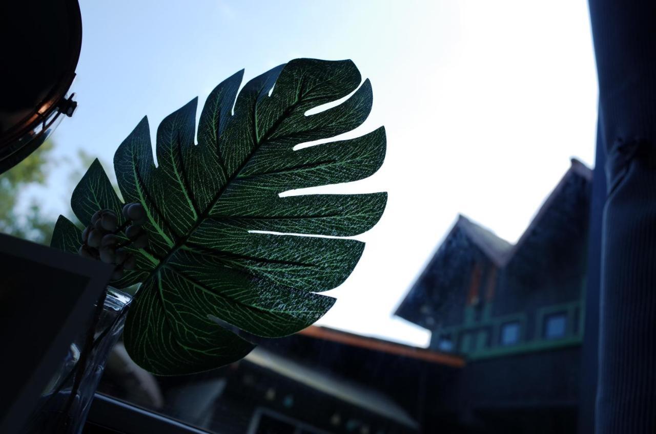 Chiangmai Moli Inn (Adults Only) Chiang Mai Zewnętrze zdjęcie